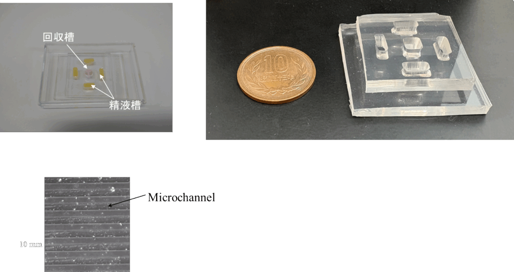 精子遊泳特性を利用したマイクロ流体デバイス