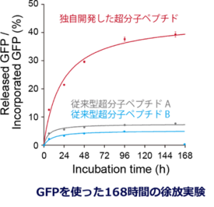 GFPを使った168時間の徐放実験