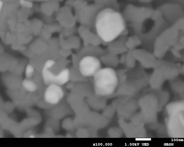 表面に白金を担持した酸化チタン焼結体の画像