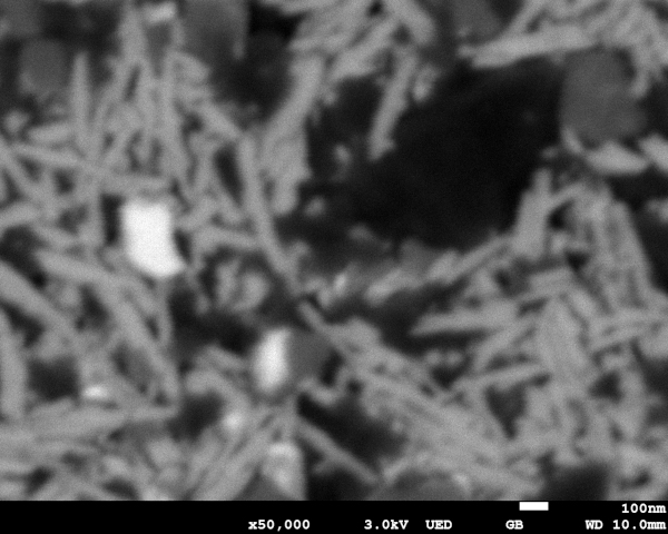 磁気フィルム表面のSEM画像　観察倍率50000倍