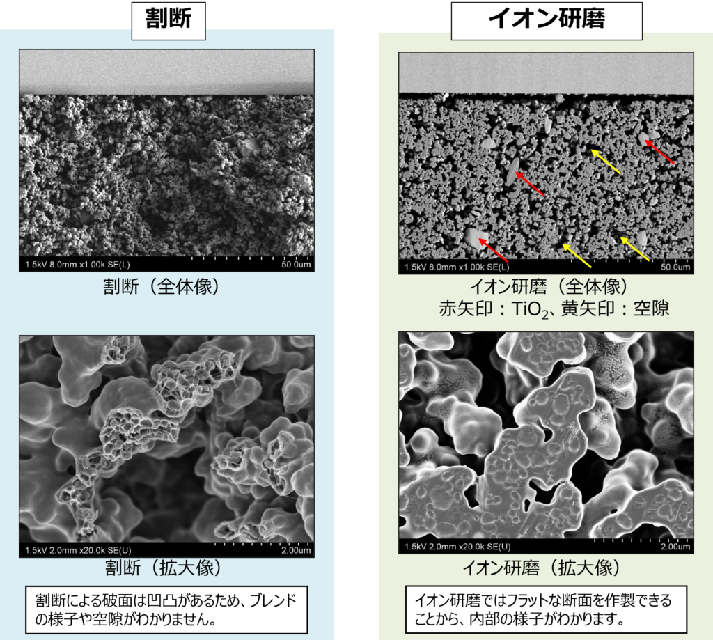 有機モノリス構造体の断面SEM像