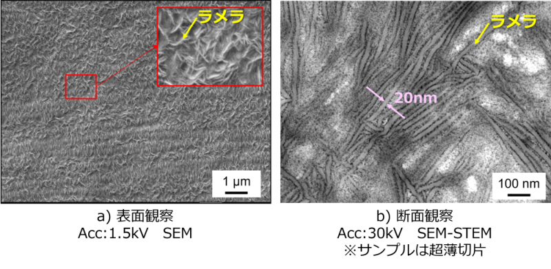 ラメラの高分解能観察（左：表面観察、右：断面観察）