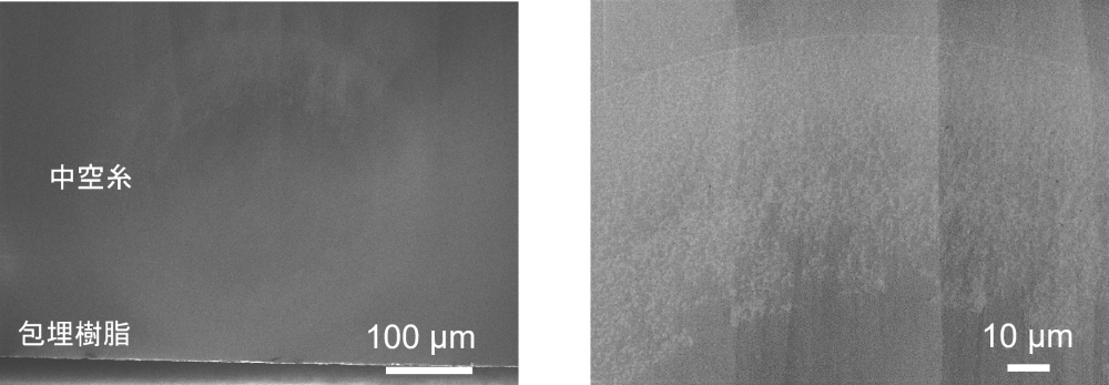 図1　中空糸の断面SEM像（染色なし）