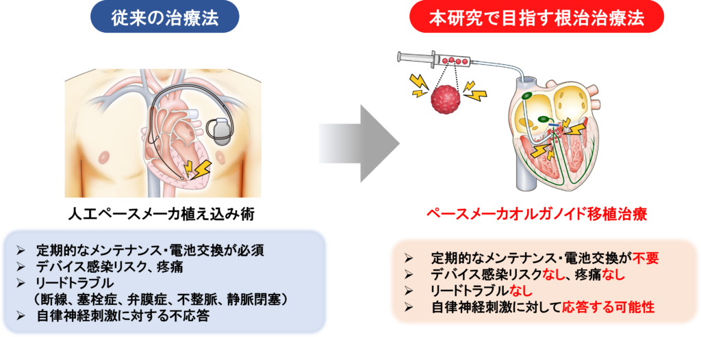 R5戦略S遠山