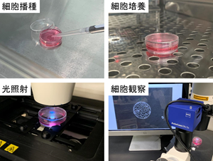 光応答細胞培養皿実施例