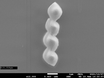 FE-SEMでパターニングしたシリコン含有樹脂「小さな小さな枝豆です」