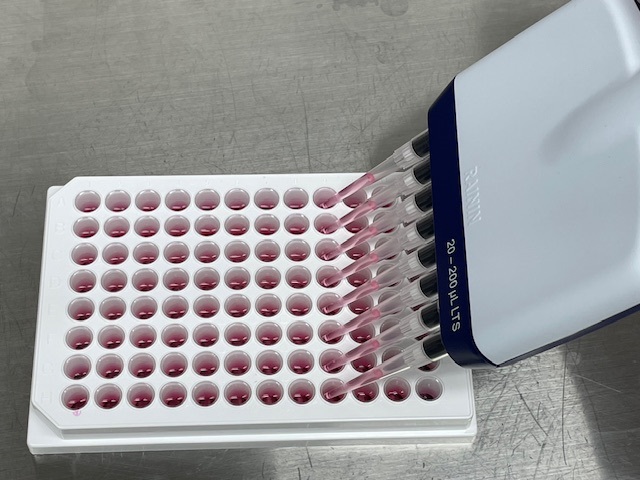 抗ウイルス薬の性能評価試験のイメージ図
