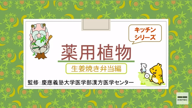 「薬用植物シリーズ」生姜焼き弁当編