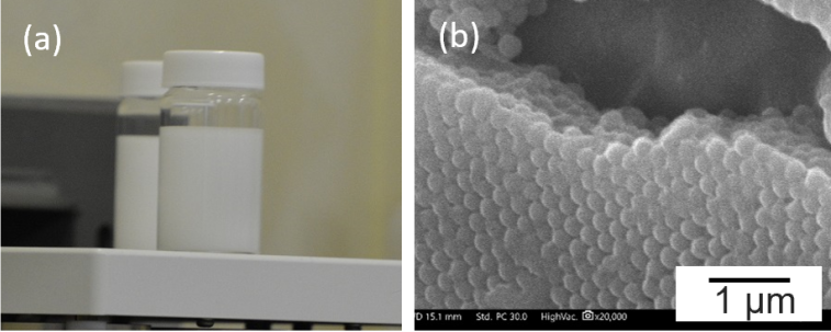 図2　(a)人工オパール分散液の外観と(b)塗布表面の拡大観察像