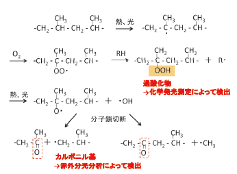 図3　推測されるポリプロピレンの劣化反応機構