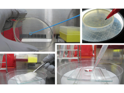 繰返し除菌性評価試験サービスのイメージ写真