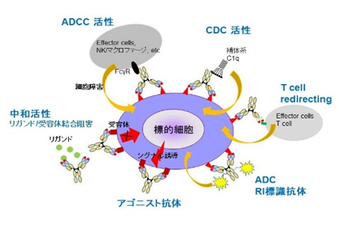 宮島P成果図