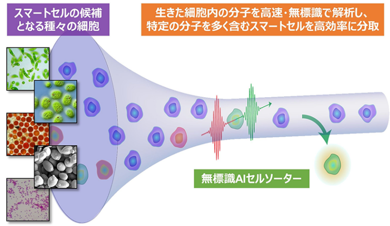 戦略合田P図