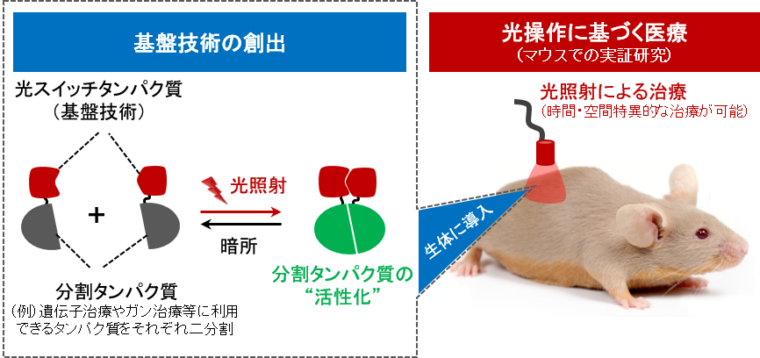 戦略佐藤図