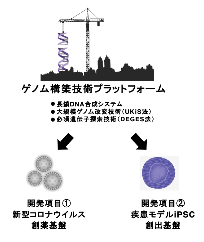 戦略相澤P図