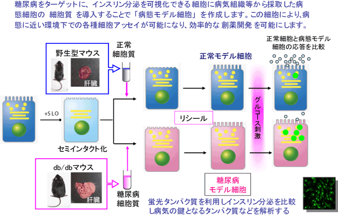 戦略村田P