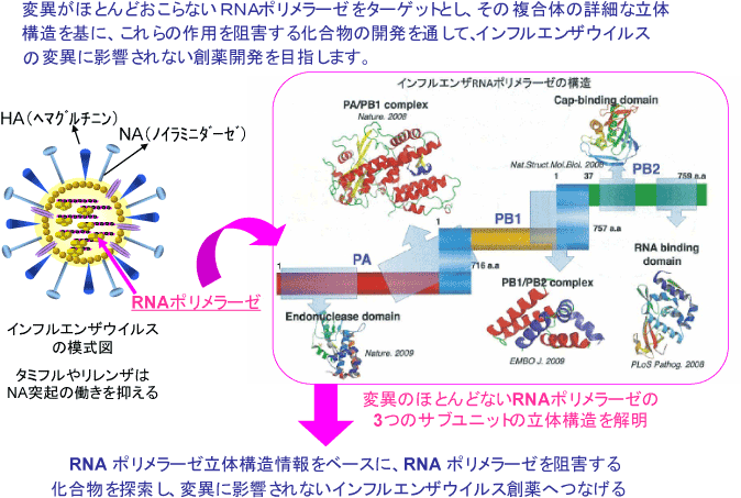 戦略朴P図