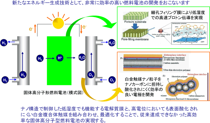 戦略P山口