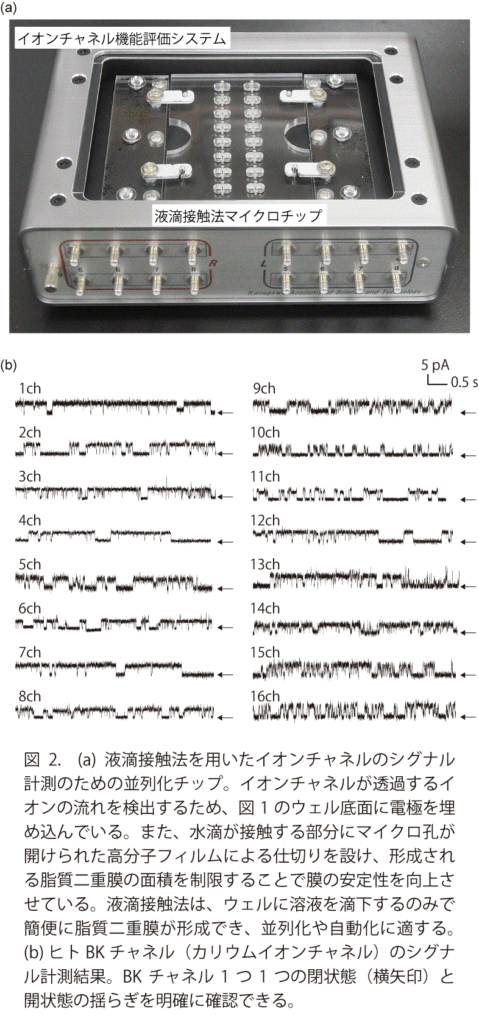 図2　イオンチャンネル機能評価システム