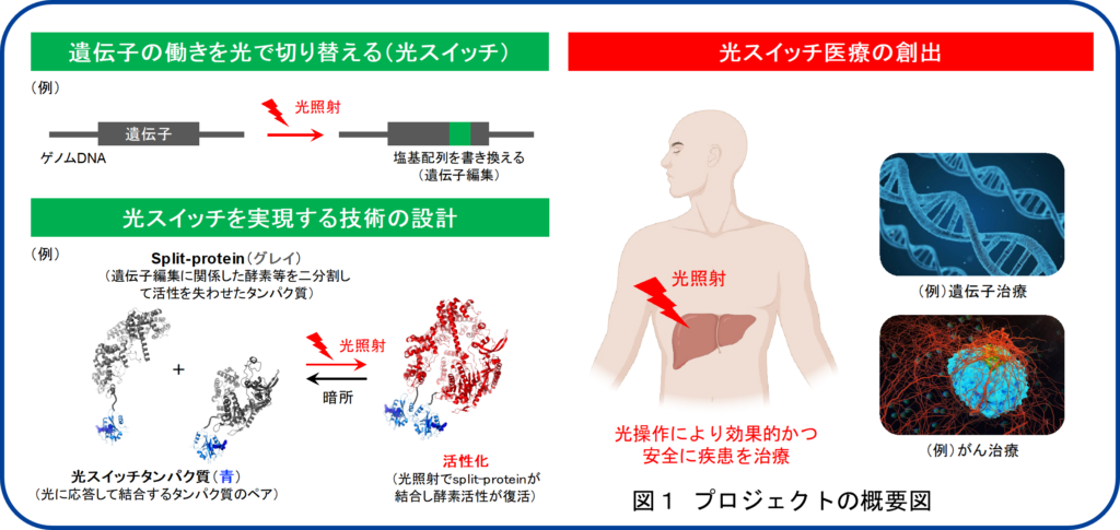 図1　プロジェクトの概要図