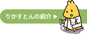 りかすとんの紹介